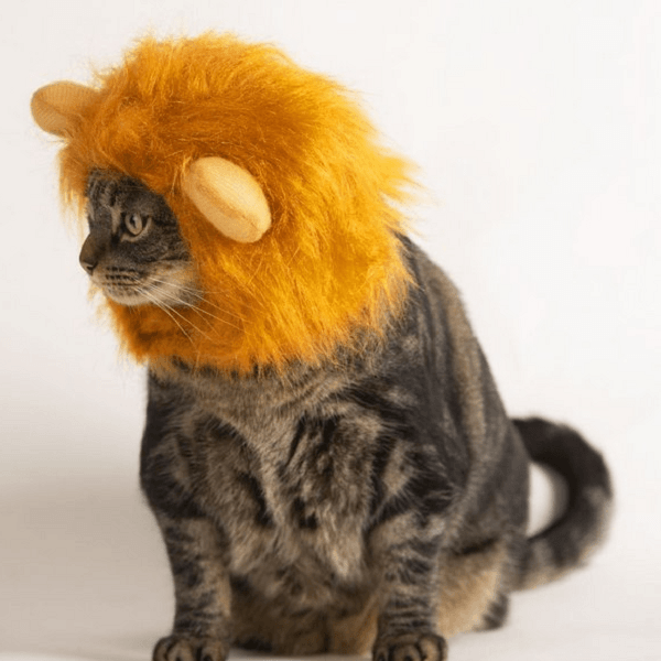 Lion Mane Wig for Dogs
