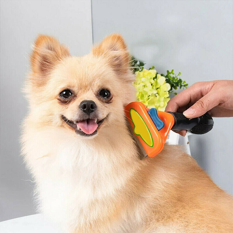 Pet hair removal brush