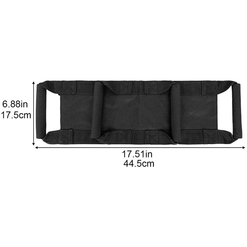 Motorcycle Passenger Safety Belt System