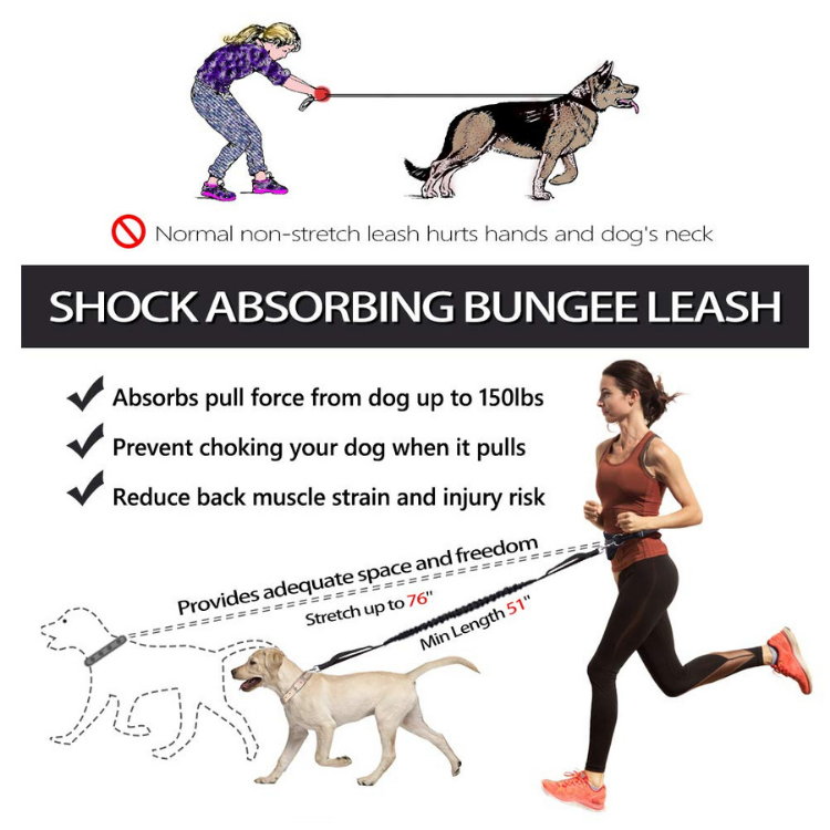 Buddy Bungee Dog Leash