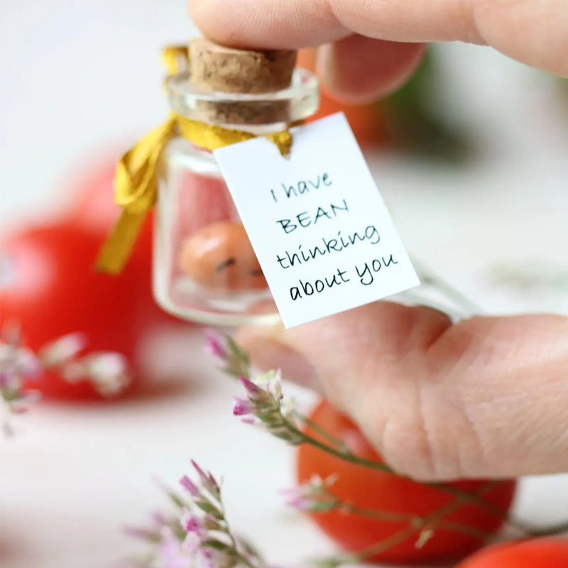CUTE BAKED BEAN GIFT