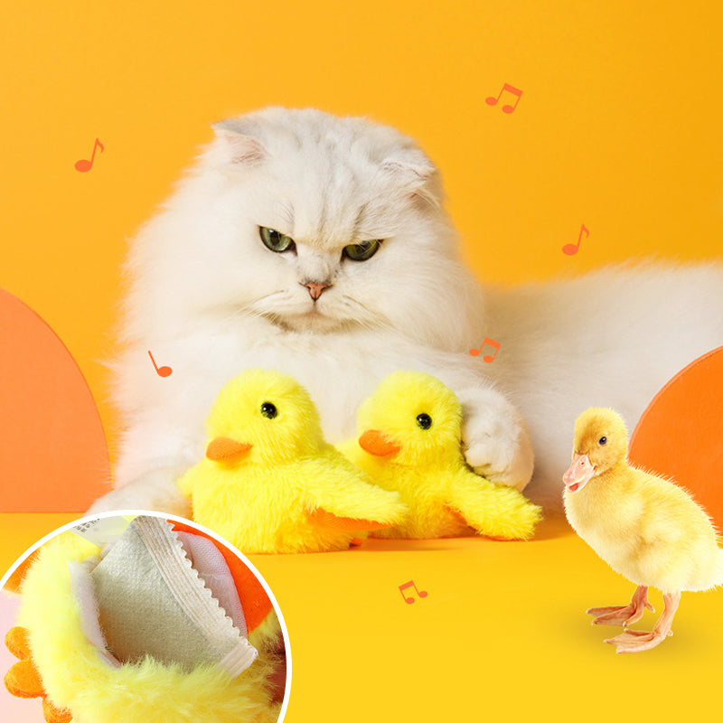 🎄  Toys For Your fur babies