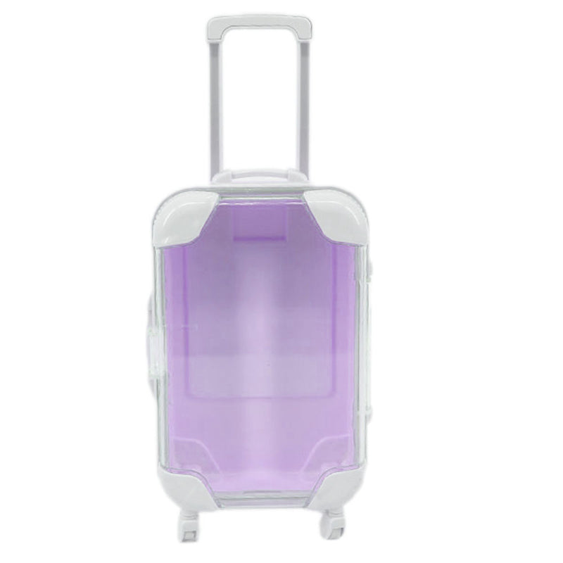 Mini Suitcase Eyelashes Case