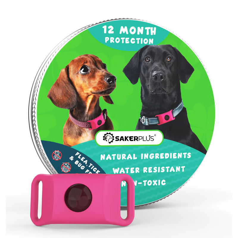 12 Months Flea and Tick Free