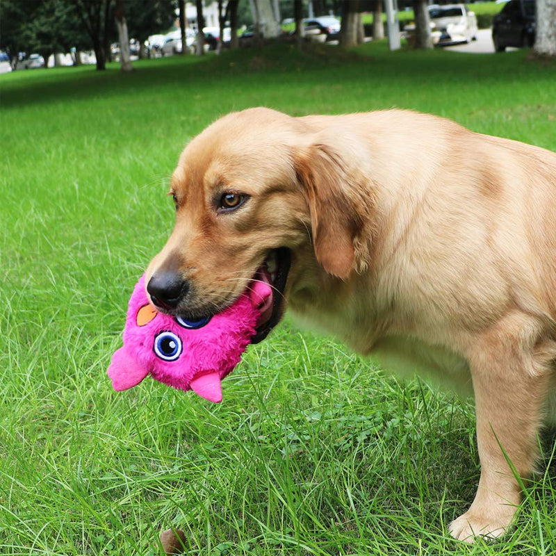Monster Dog Active Ball