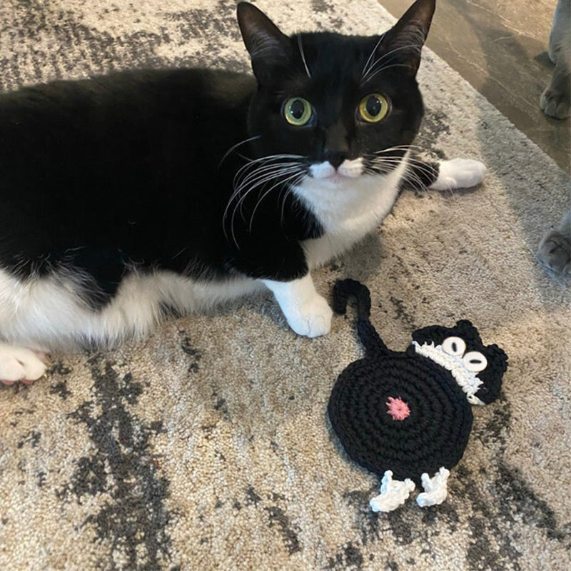 🎄Pre-sale for seven days🐱Cat Butt Coasters🎉