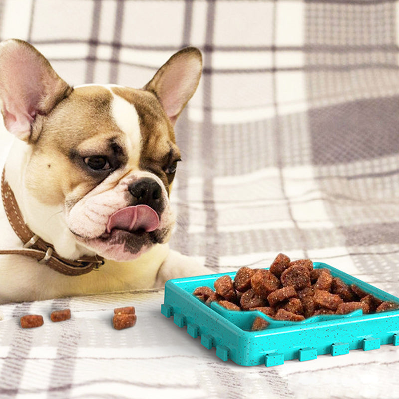 Removable Anti-Choking Slow Food Dish for Dogs