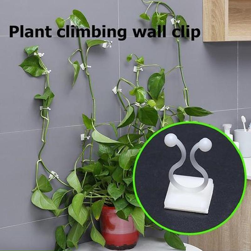 Plant Climbing Wall Clips