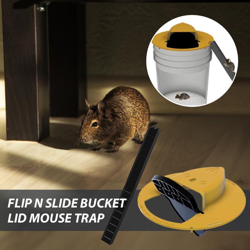 Flip N Slide Bucket Lid Mouse Trap