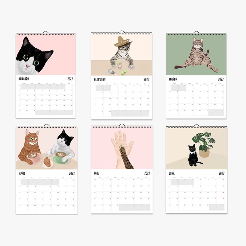 Cat Wall Calendar 2024