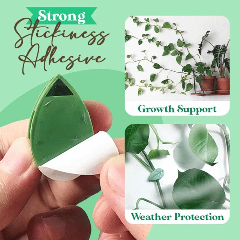 Plant Climbing Artifact Fixing Clip, 50pcs