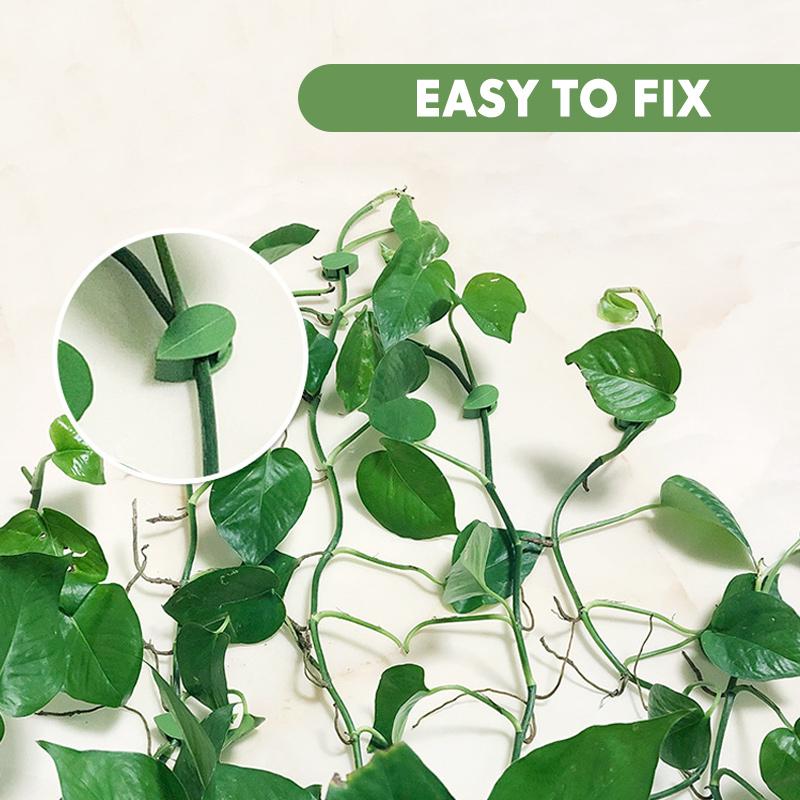 Plant Climbing Artifact Fixing Clip, 50pcs