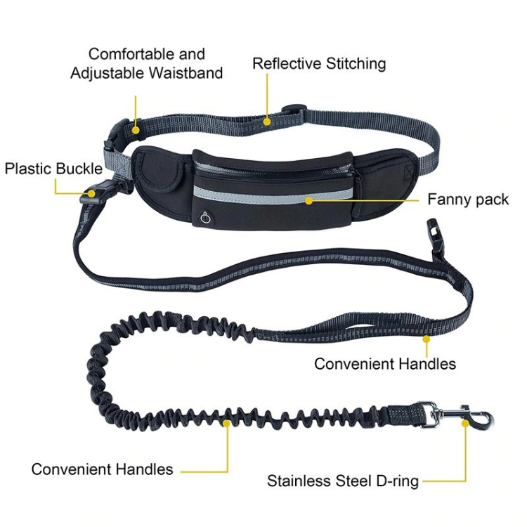 Buddy Bungee Dog Leash